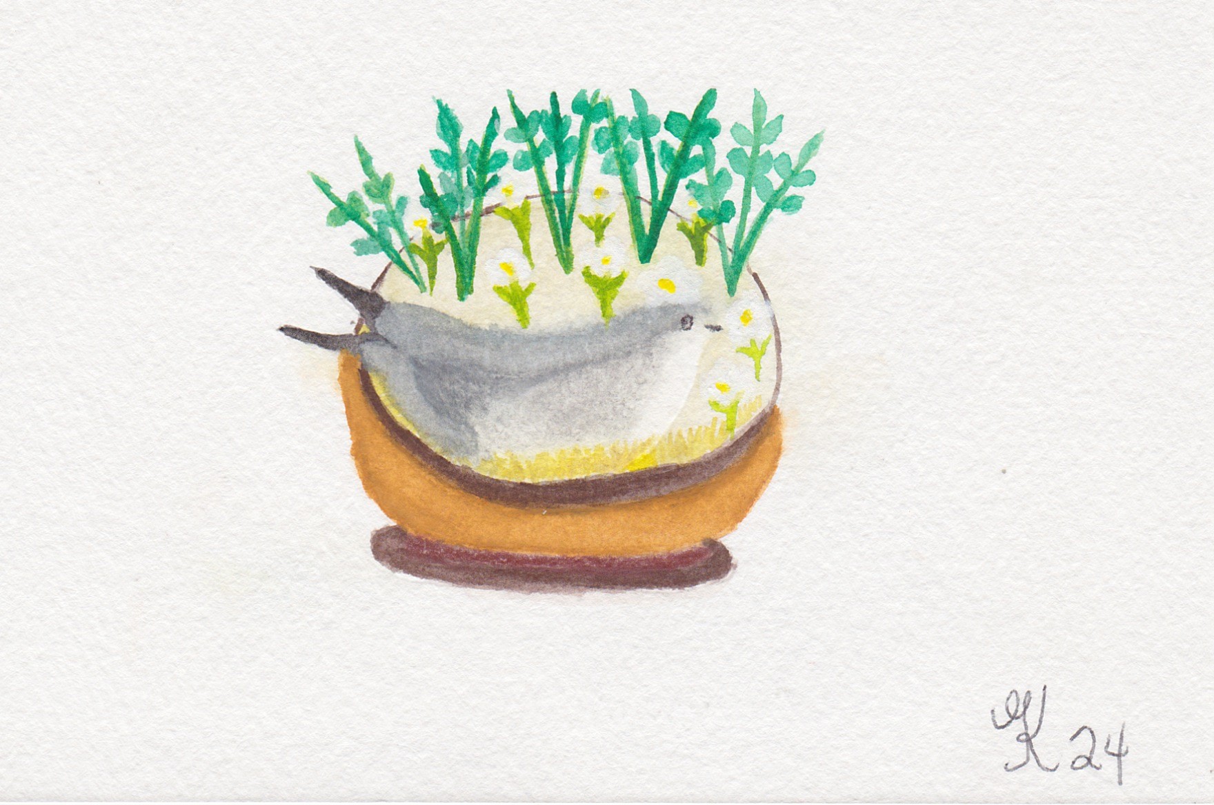Bird Nest 1