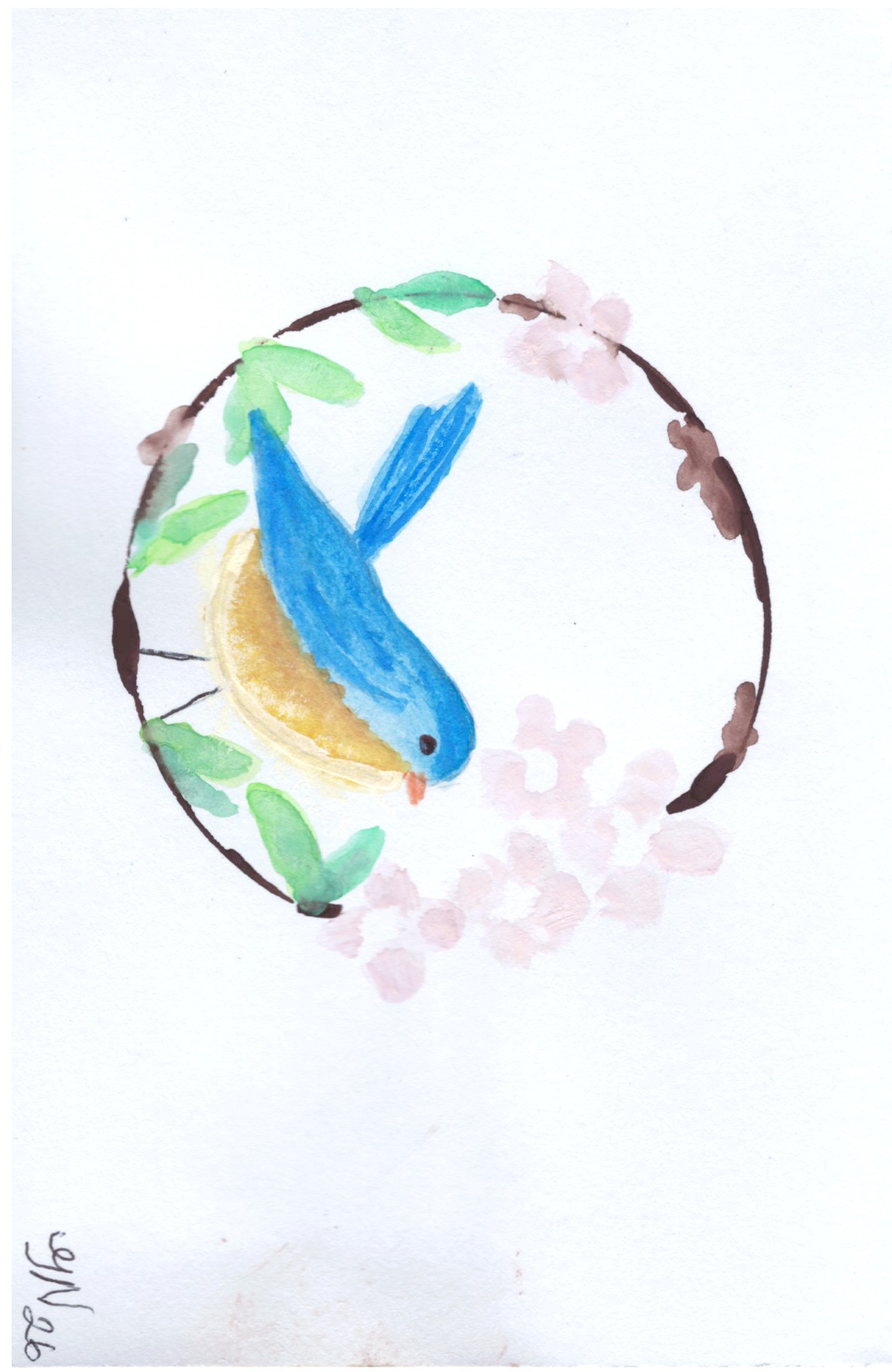 Blue Bird 5