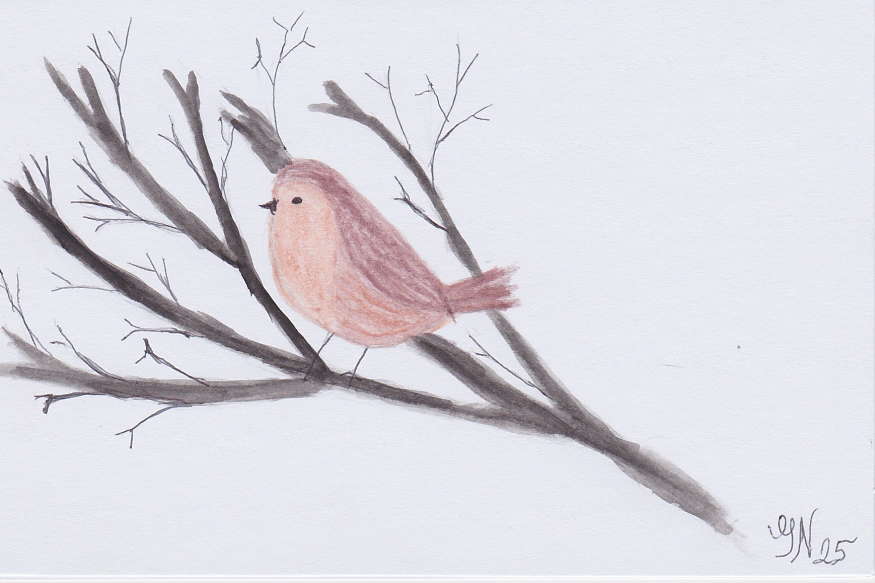 Brown Bird