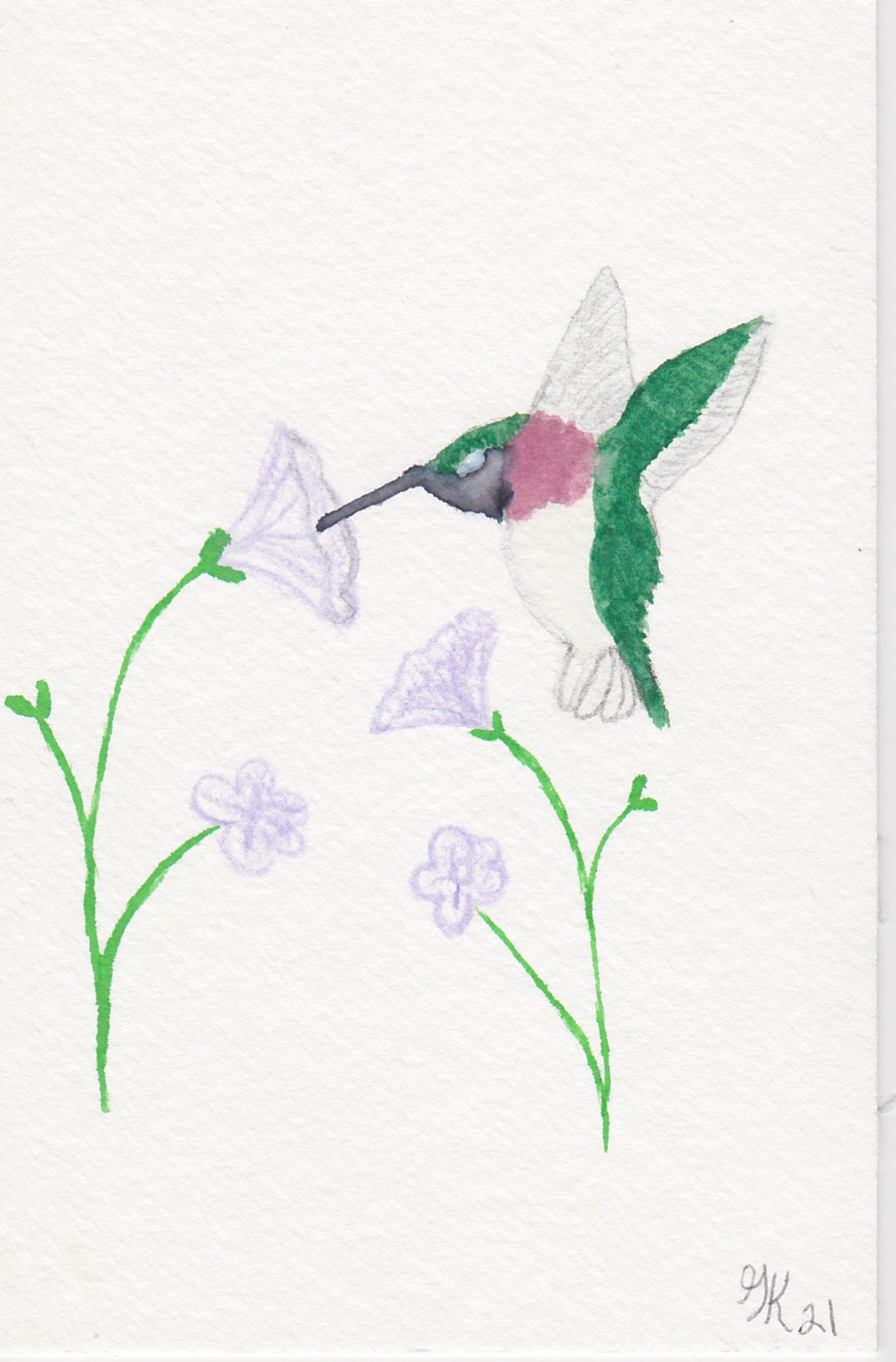 Hummingbird 2