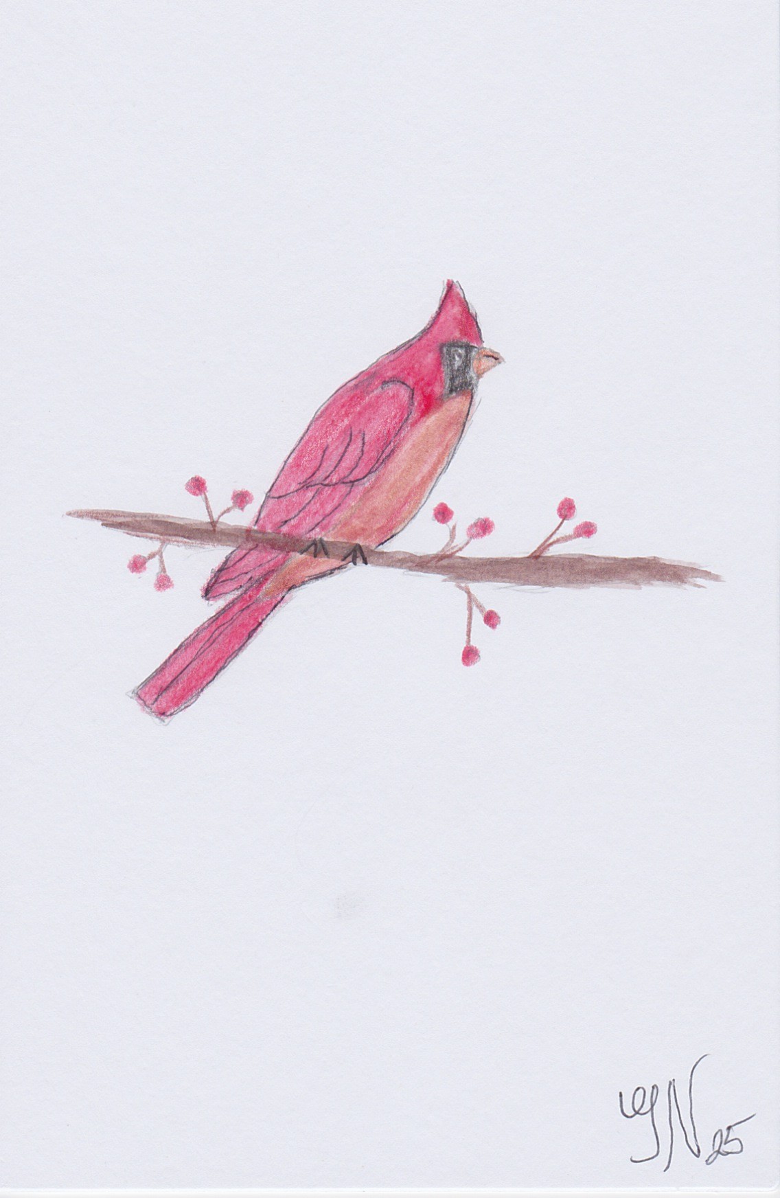 Red Bird 2