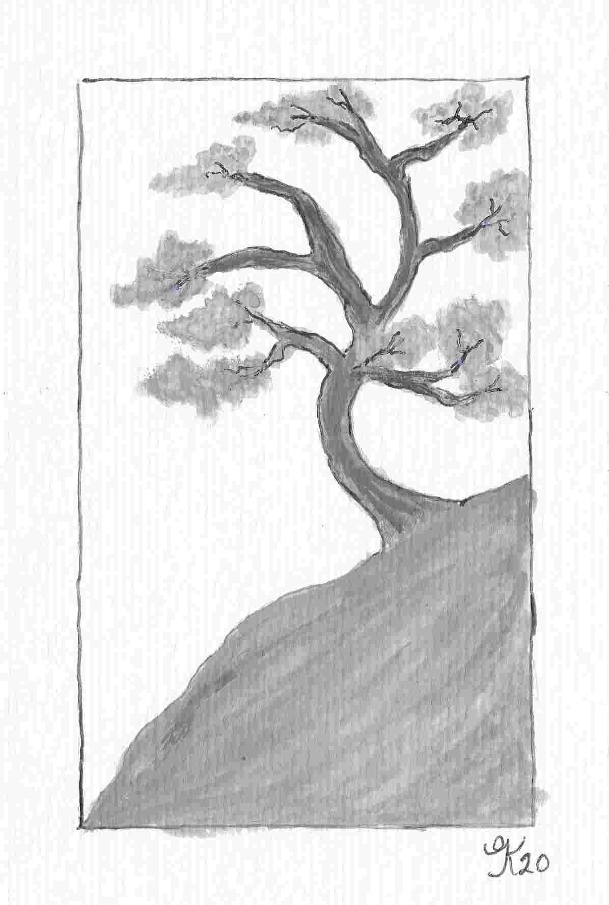 Banzi Tree