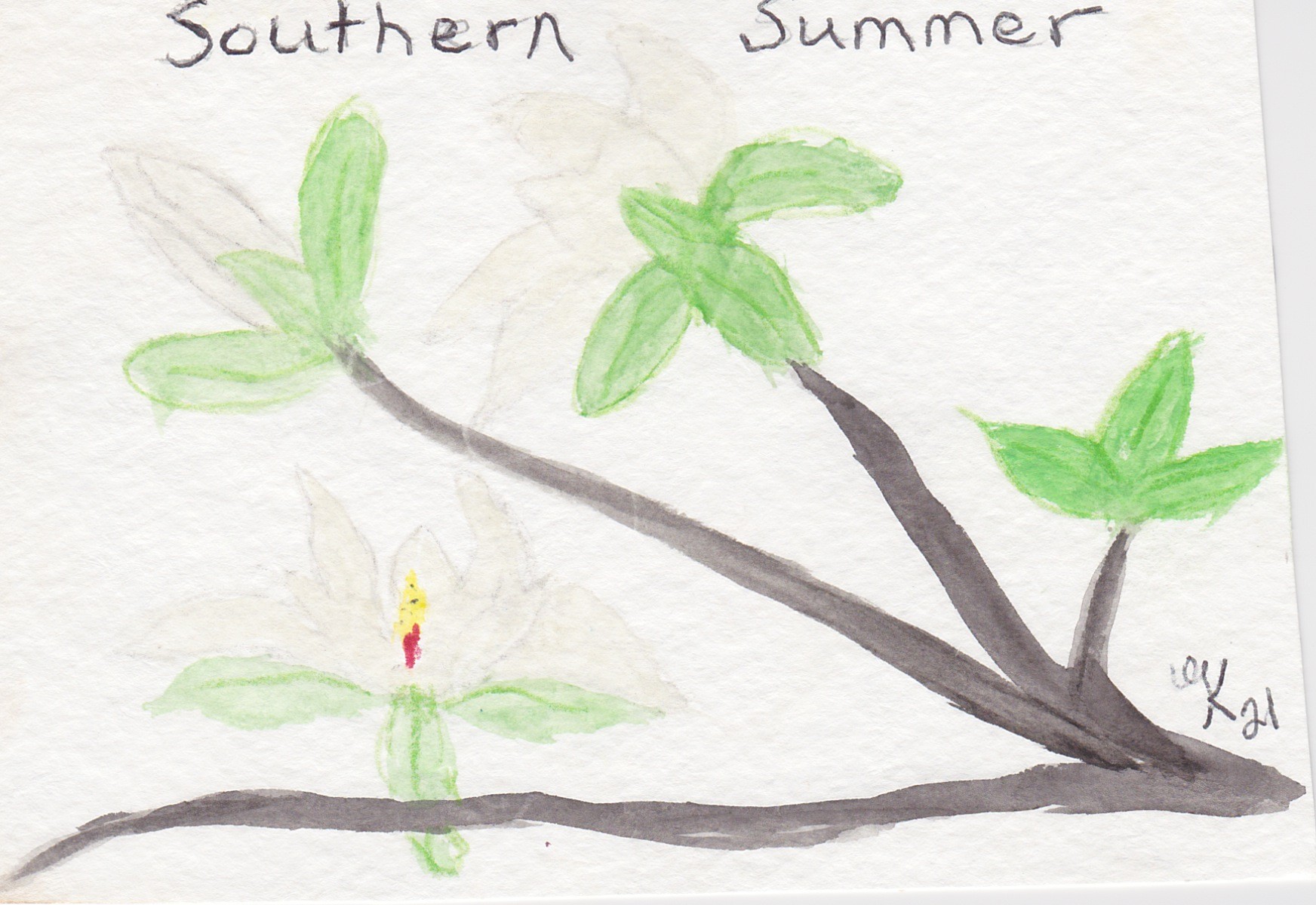 Southern Summer