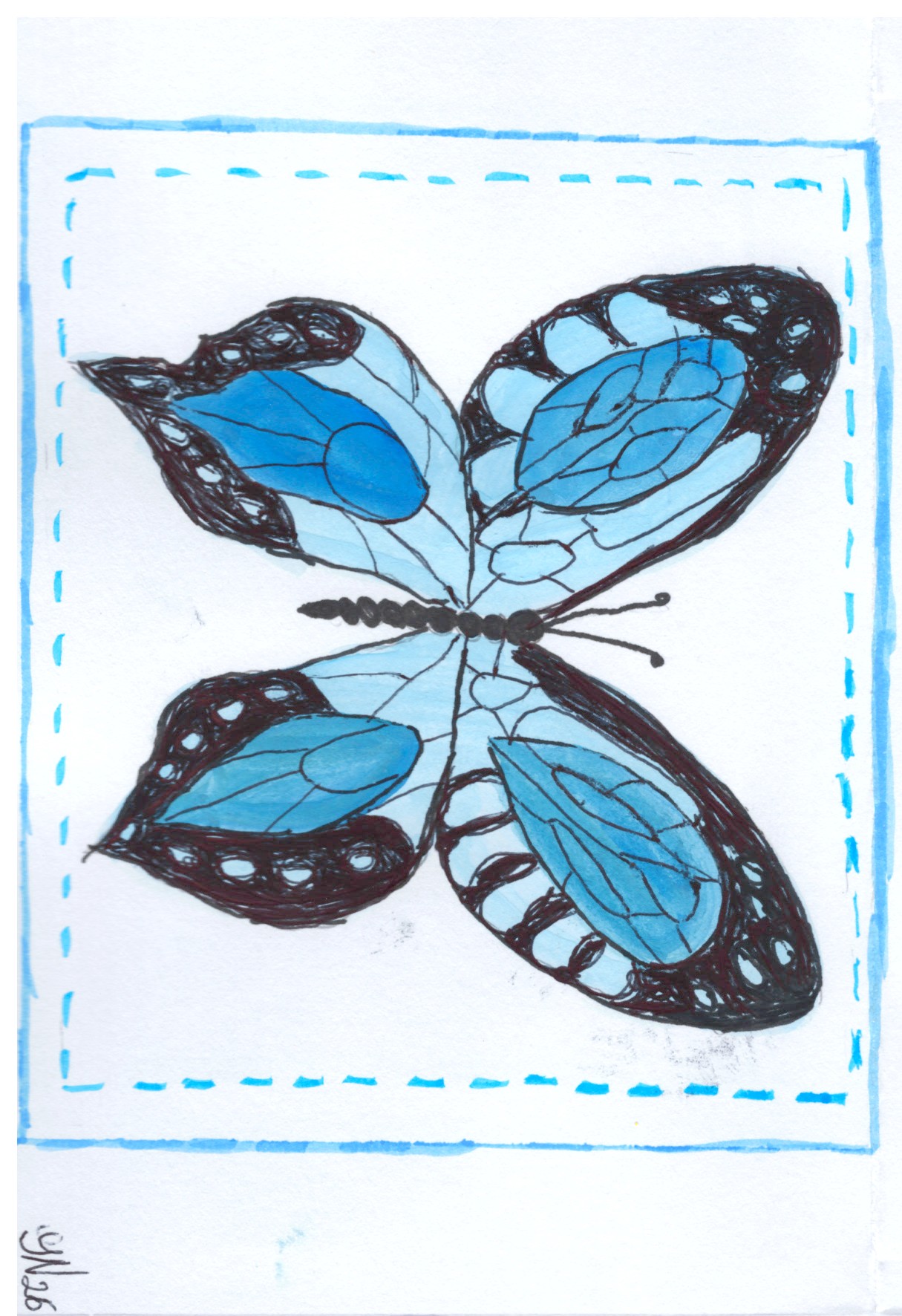 Butterfly
