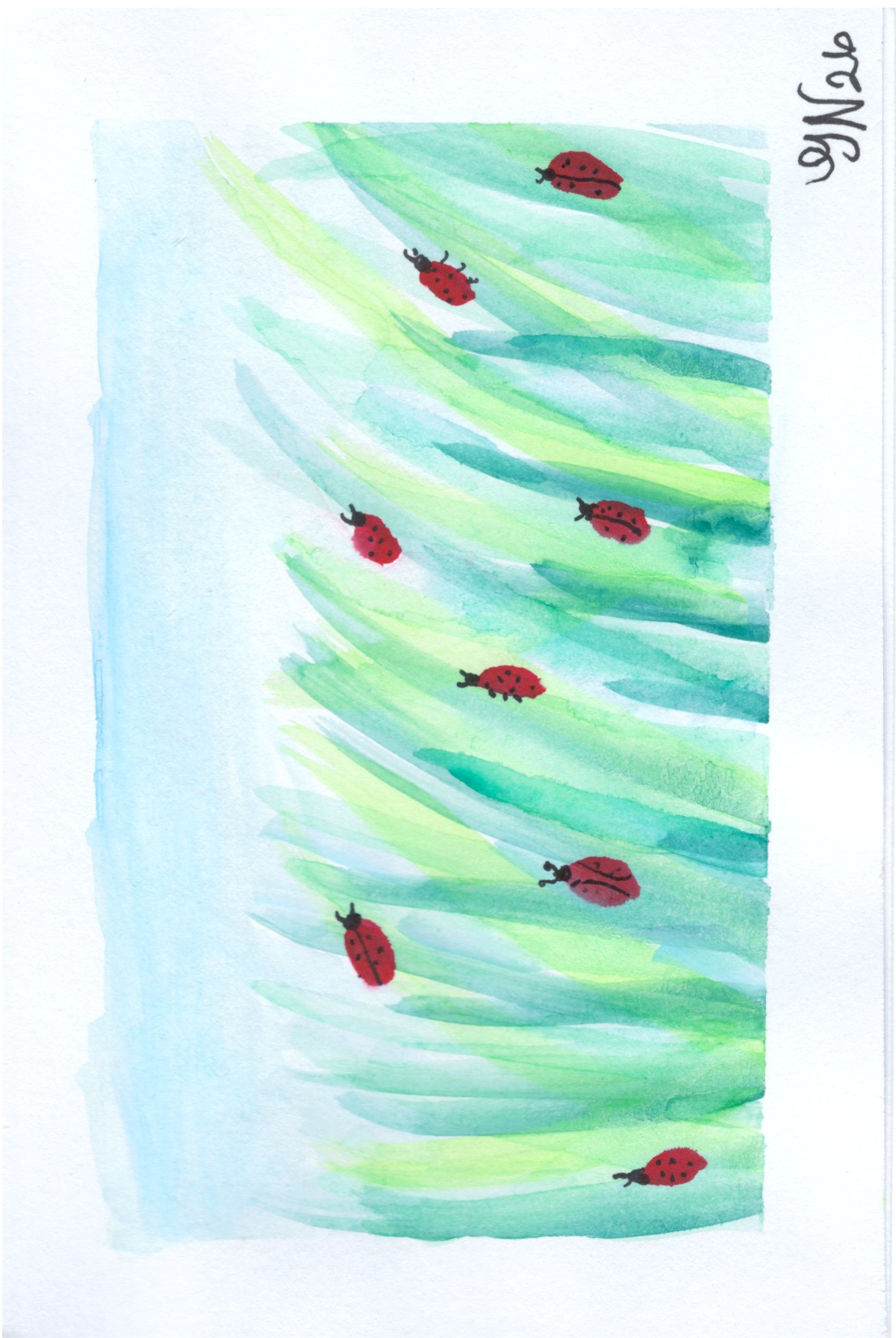 Ladybugs